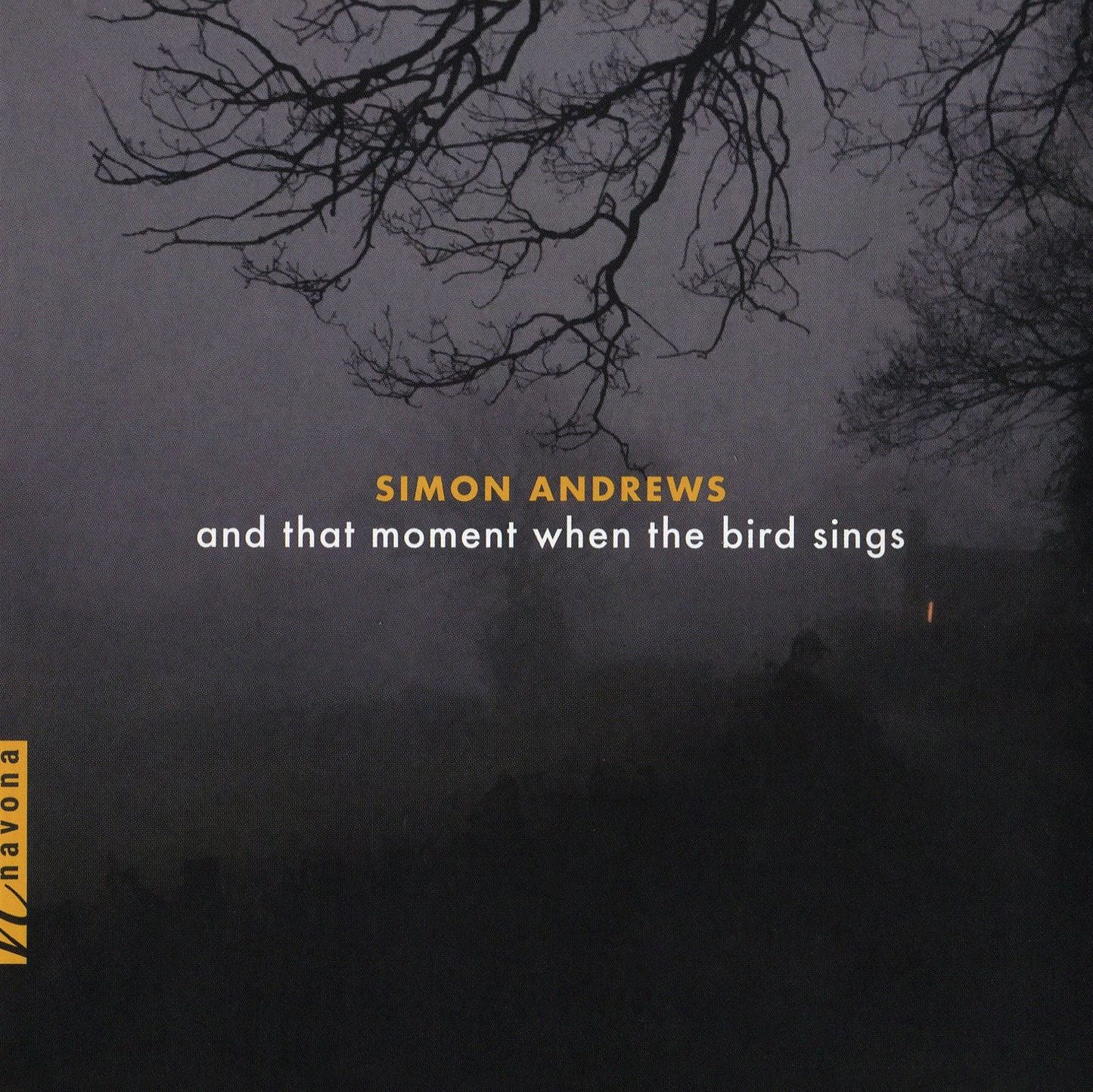 Simon Andrews: And that Moment when the Bird Sings