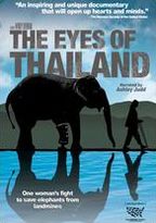 The Eyes of Thailand