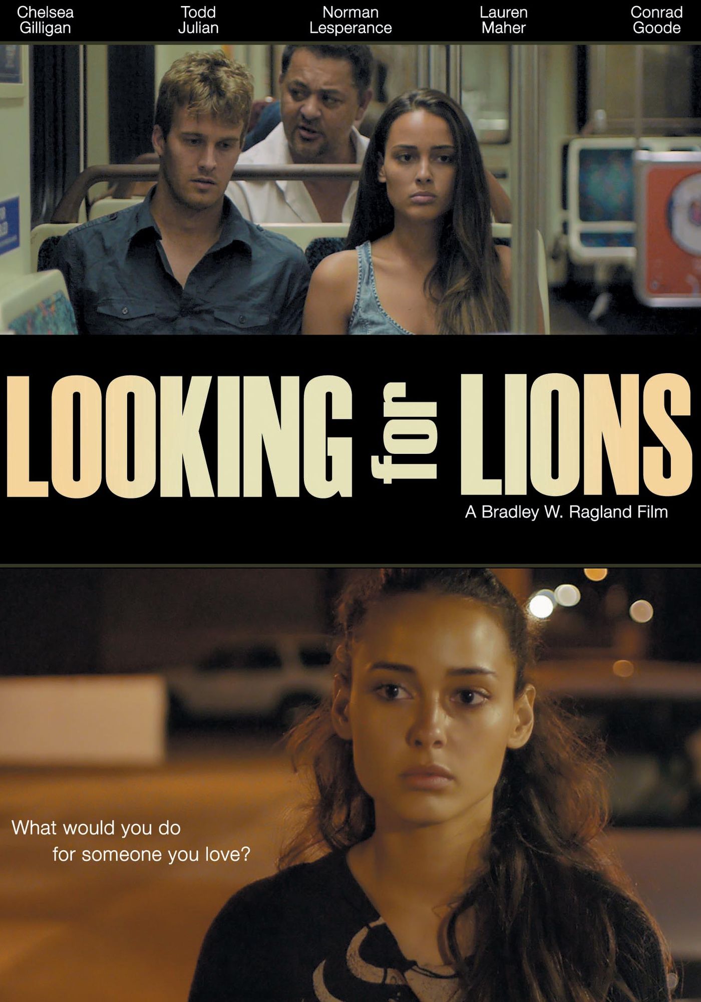 Looking For Lions