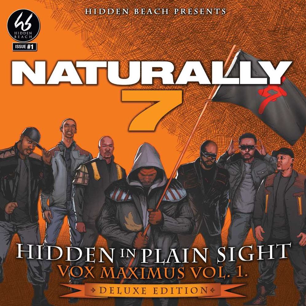 HIDDEN IN PLAIN (DLX)