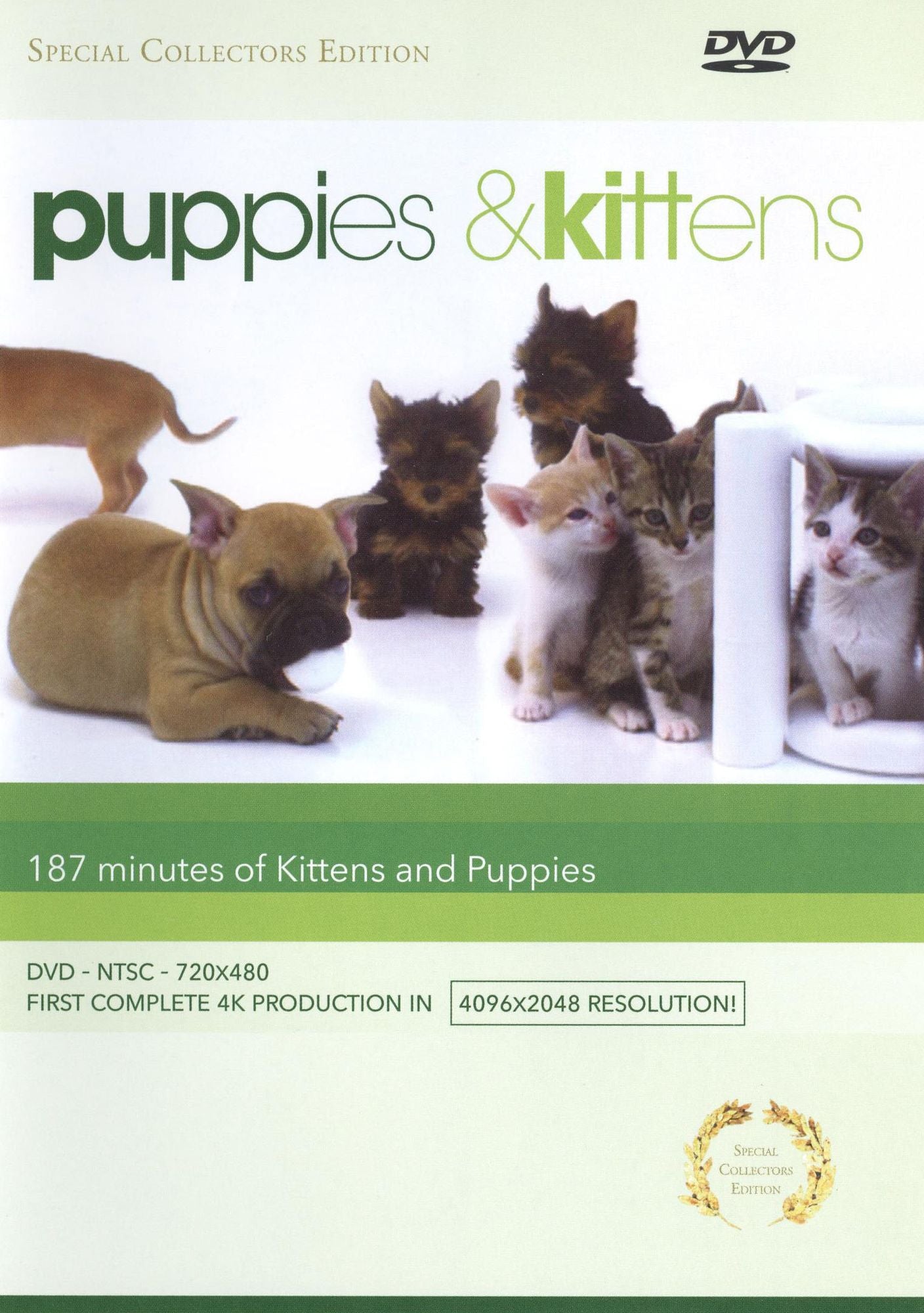Puppies & Kittens