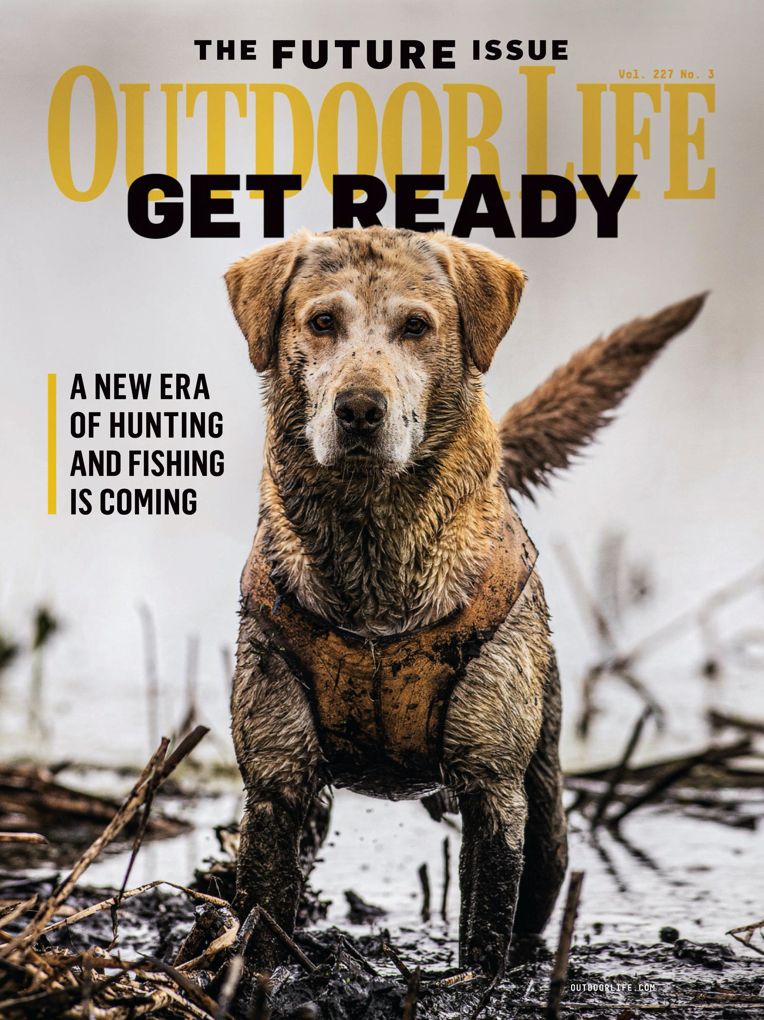 Outdoor Life - one year subscription