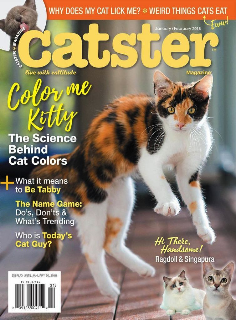 Catster - One Year Subscription
