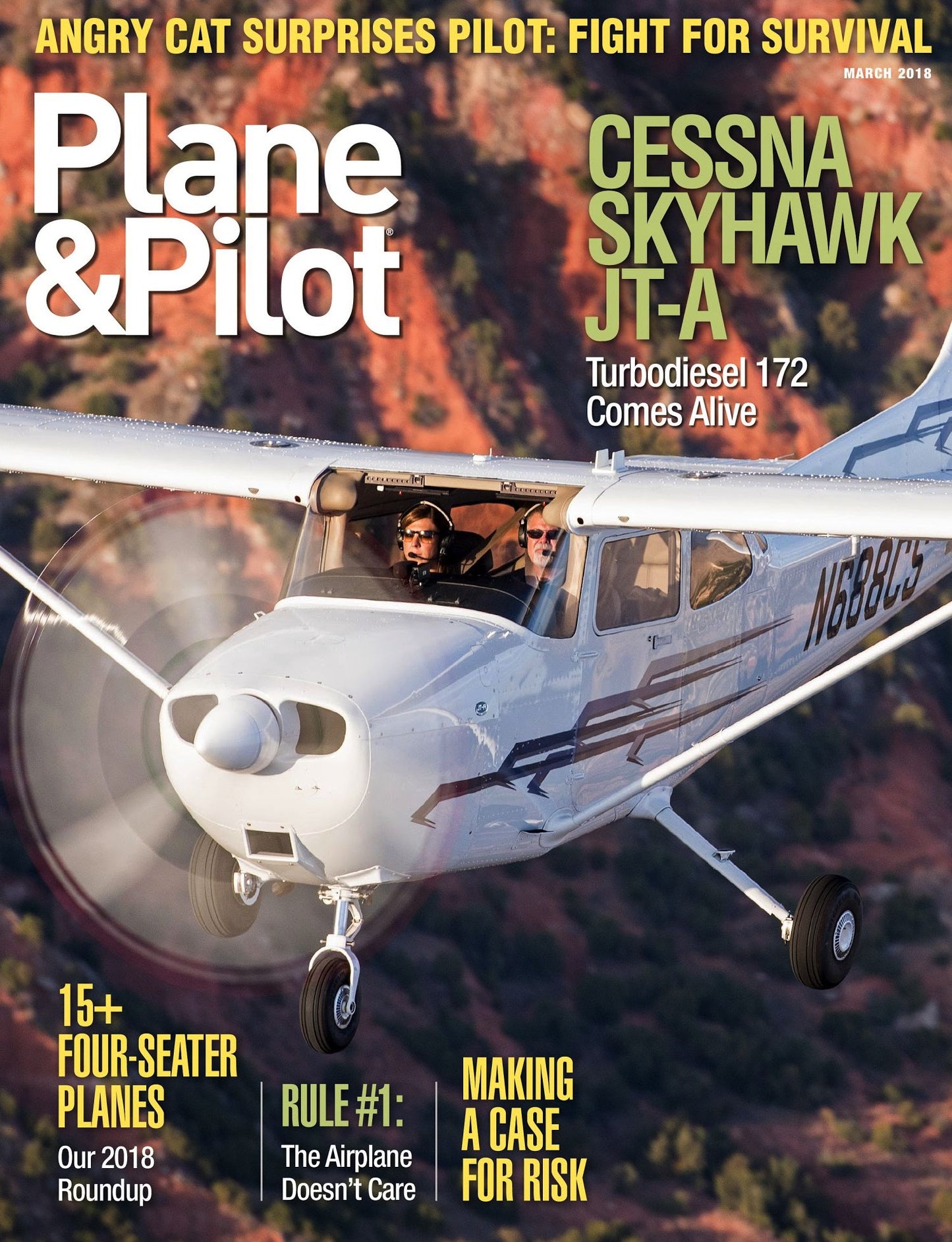 Plane & Pilot - One Year Subscription