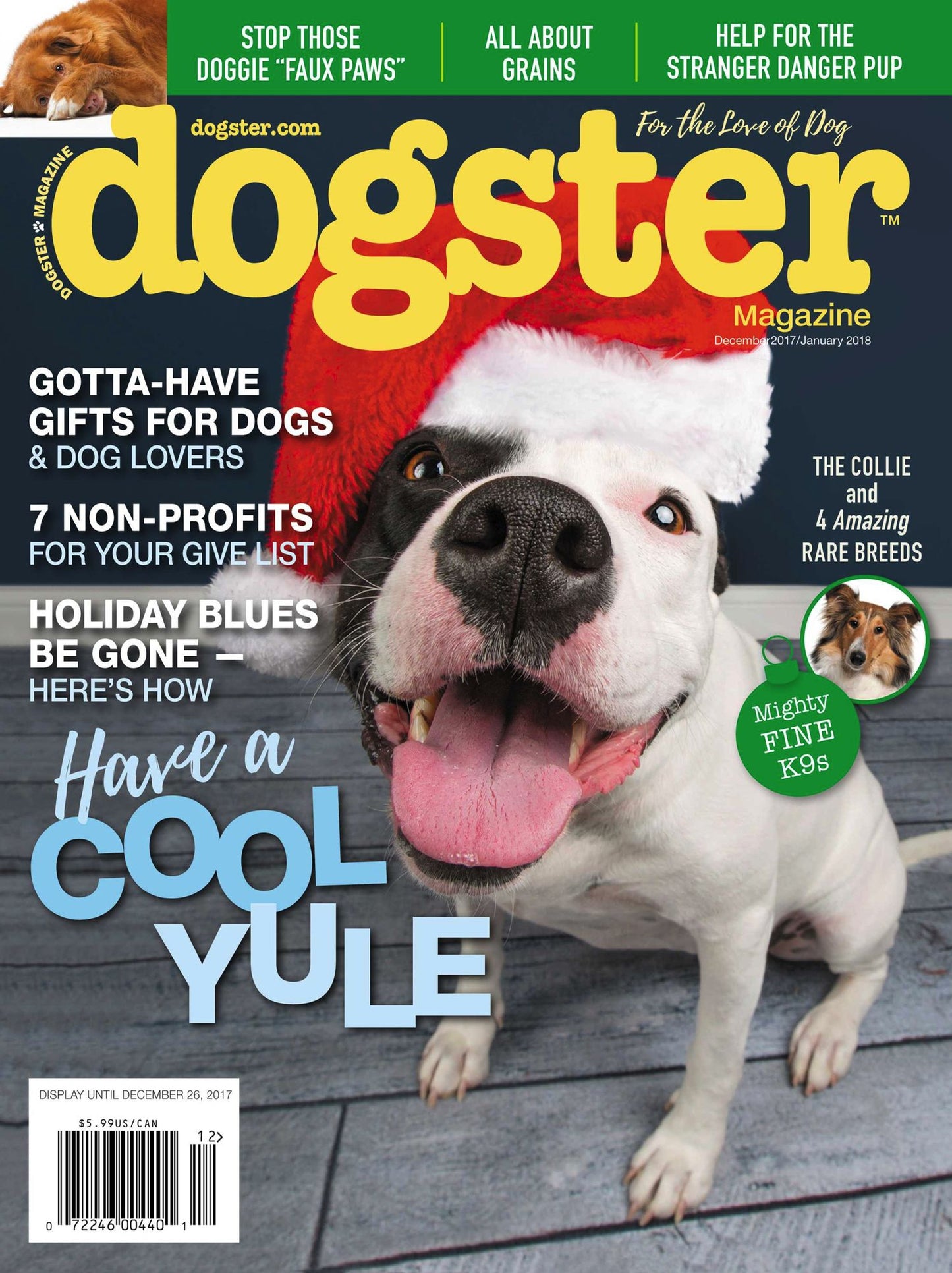 Dogster - One Year Subscription
