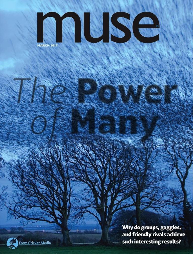 Muse - One Year Subscription