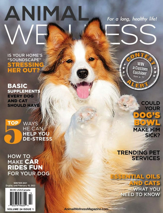 Animal Wellness - One Year Subscription