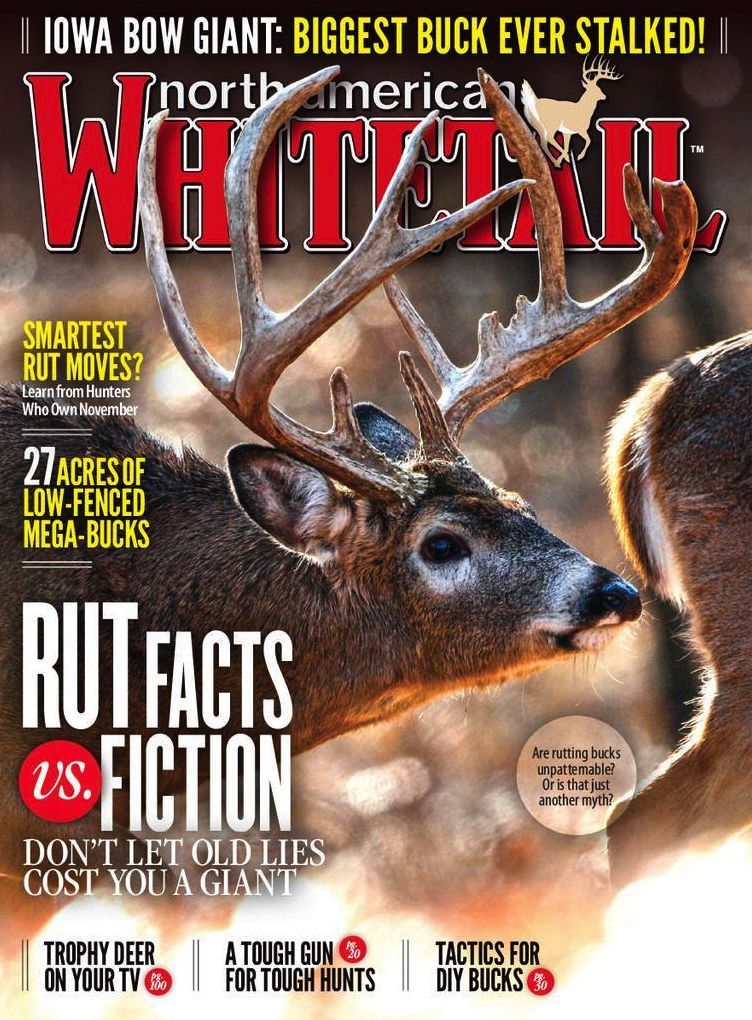 North American WhiteTail - One Year Subscription