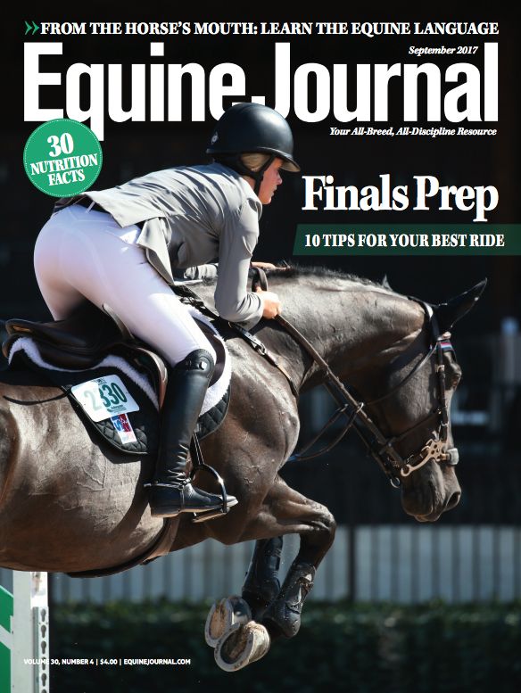 Equine Journal - One Year Subscription