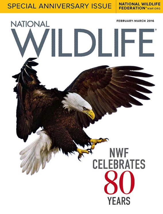 National Wildlife - One Year Subscription