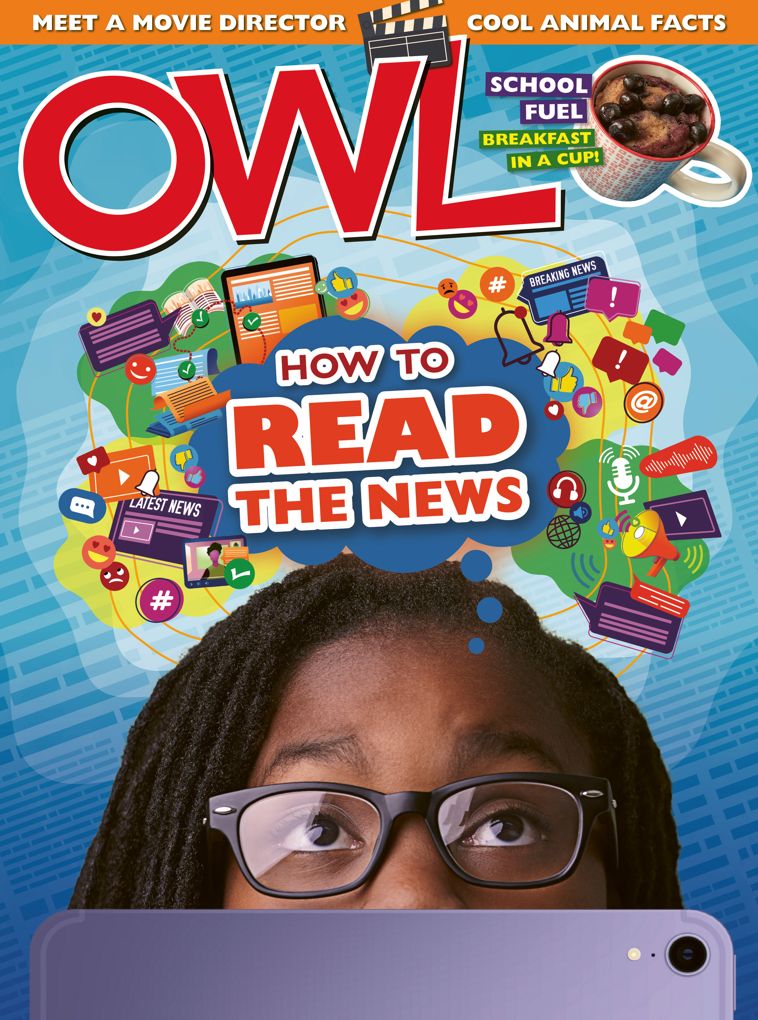 Owl - One Year Subscription