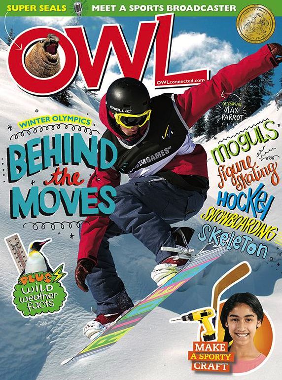 Owl - One Year Subscription