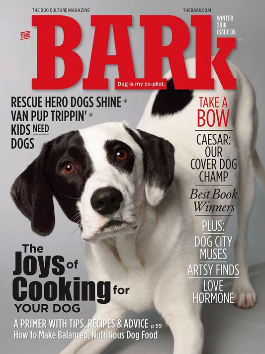 Bark - One Year Subscription