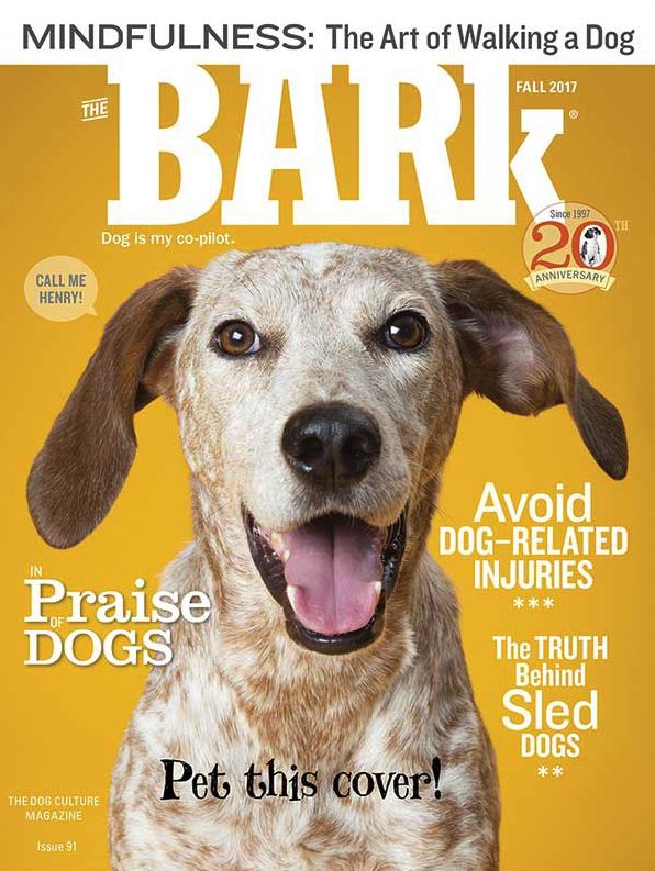 Bark - One Year Subscription