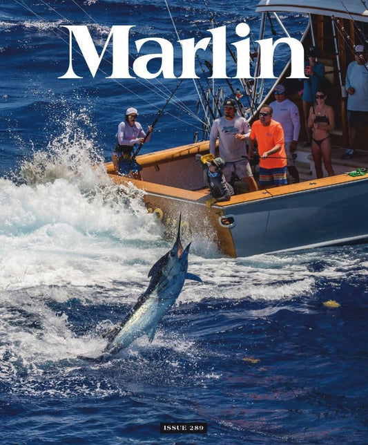 Marlin - One Year Subscription
