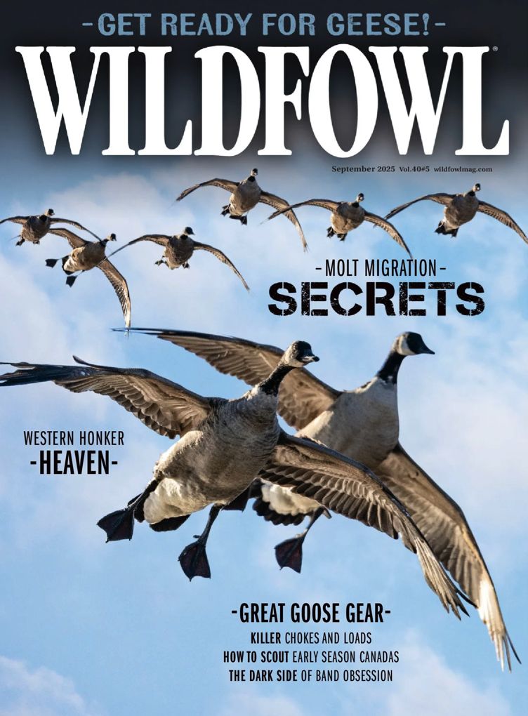 Wild Fowl - One Year Subscription