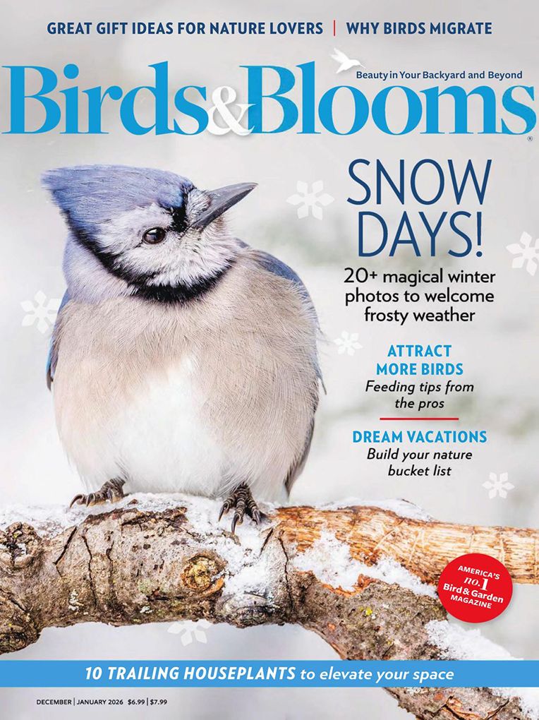 Birds & Blooms - One Year Subscription