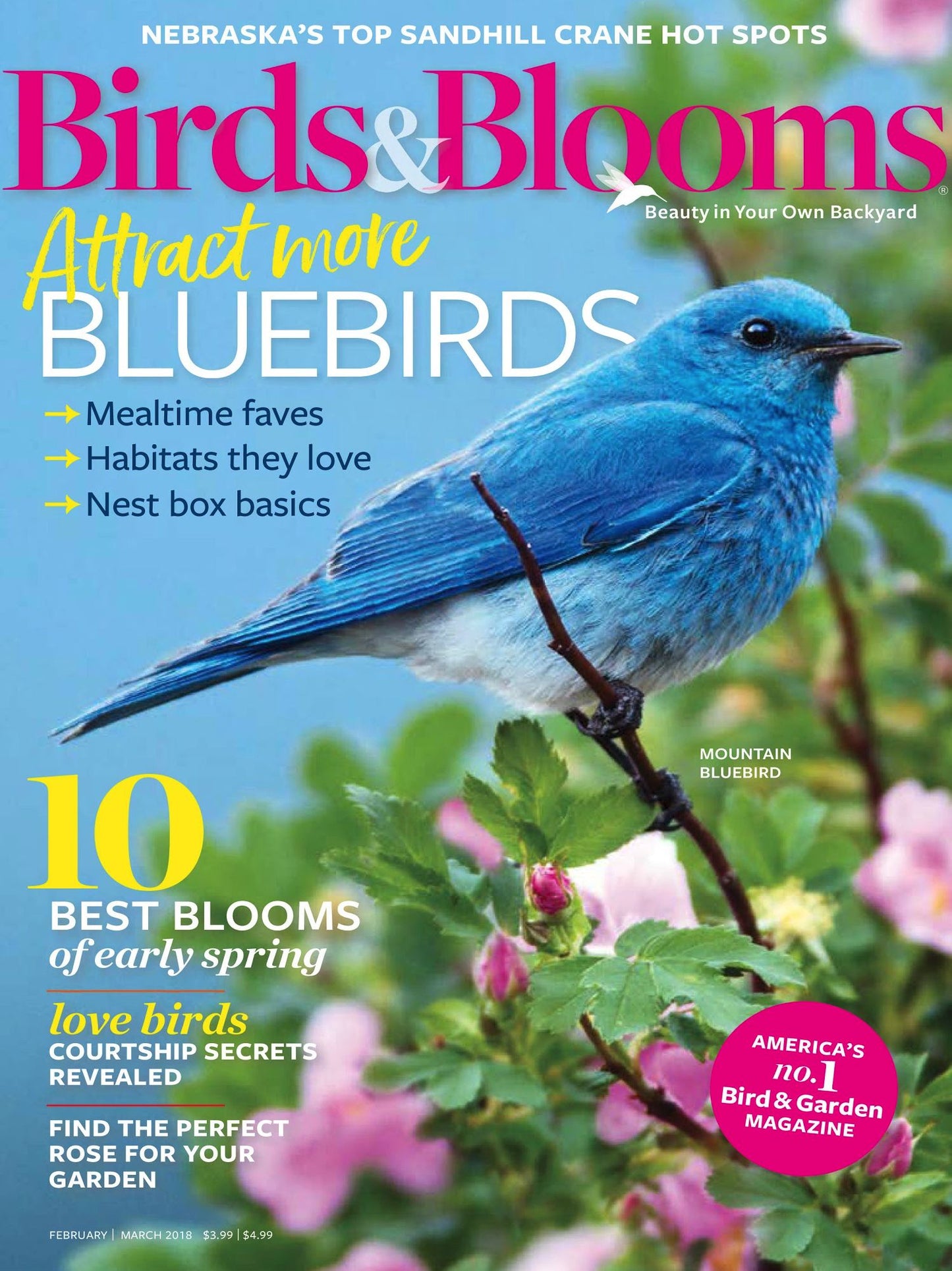 Birds & Blooms - One Year Subscription