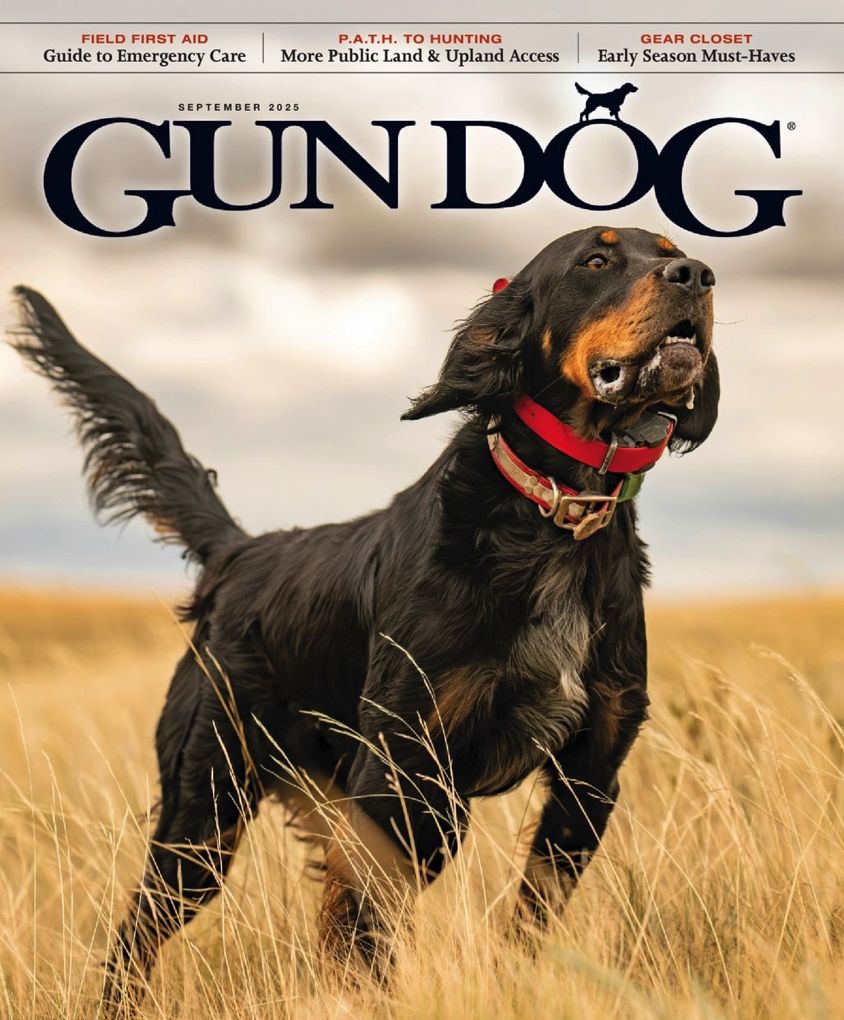 Gun Dog - One Year Subscription