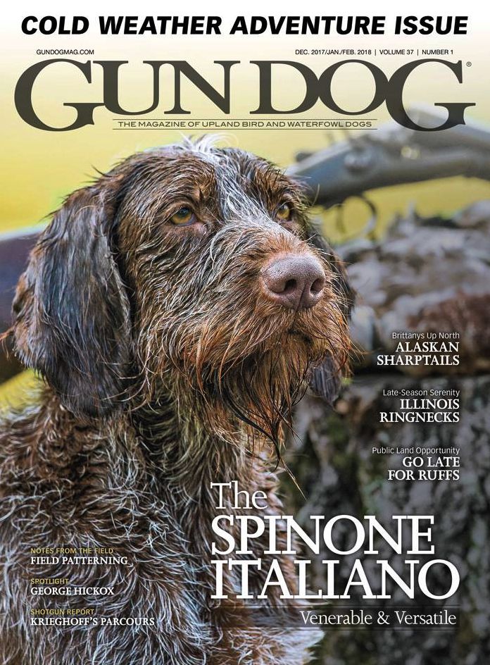 Gun Dog - One Year Subscription