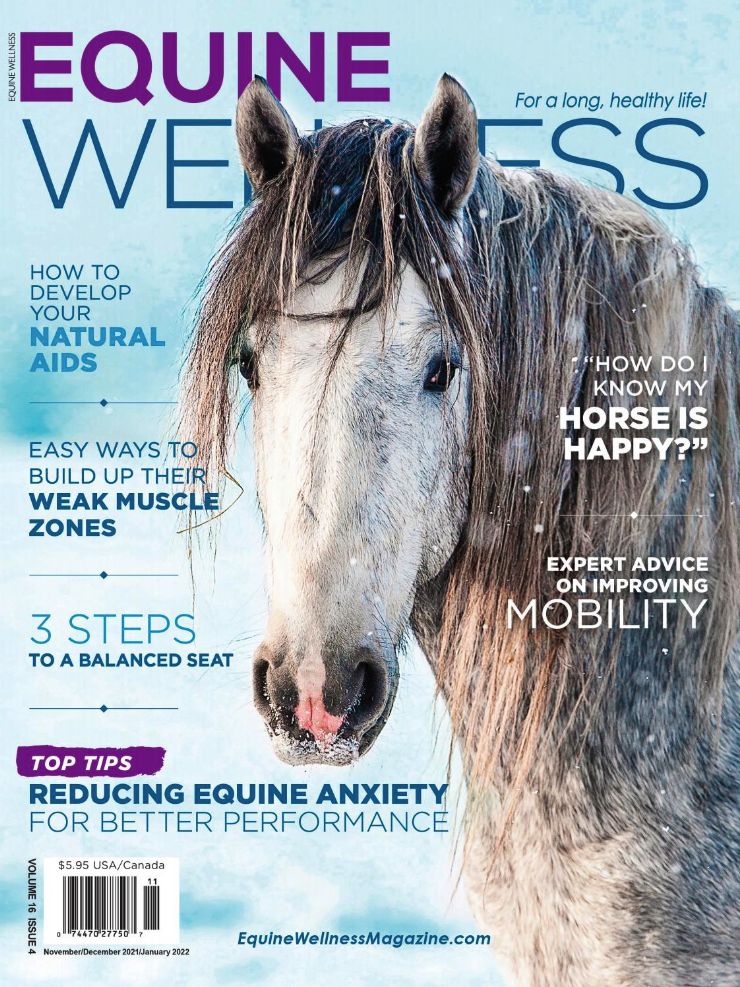 Equine Wellness - One Year Subscription