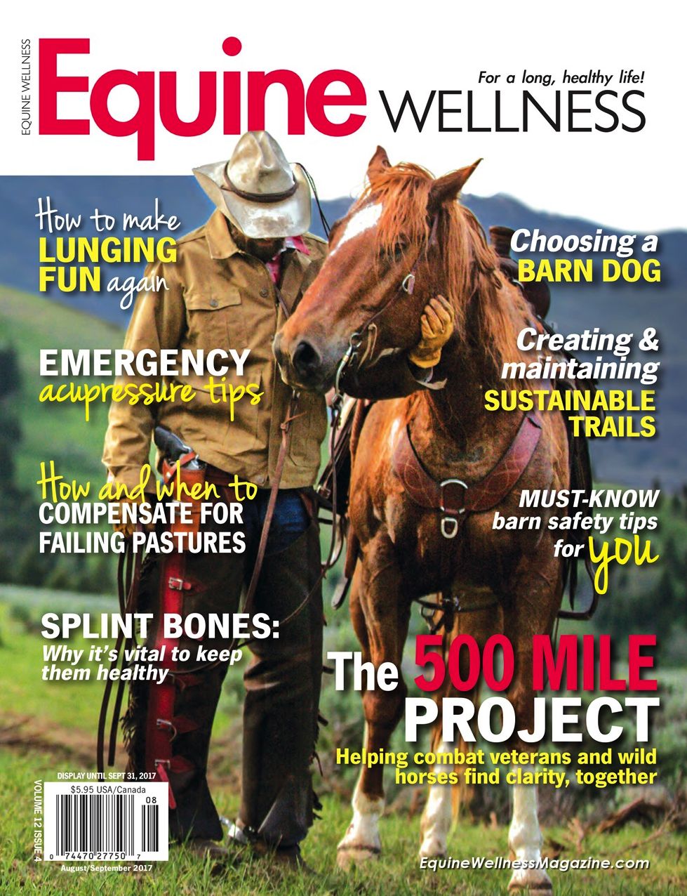 Equine Wellness - One Year Subscription