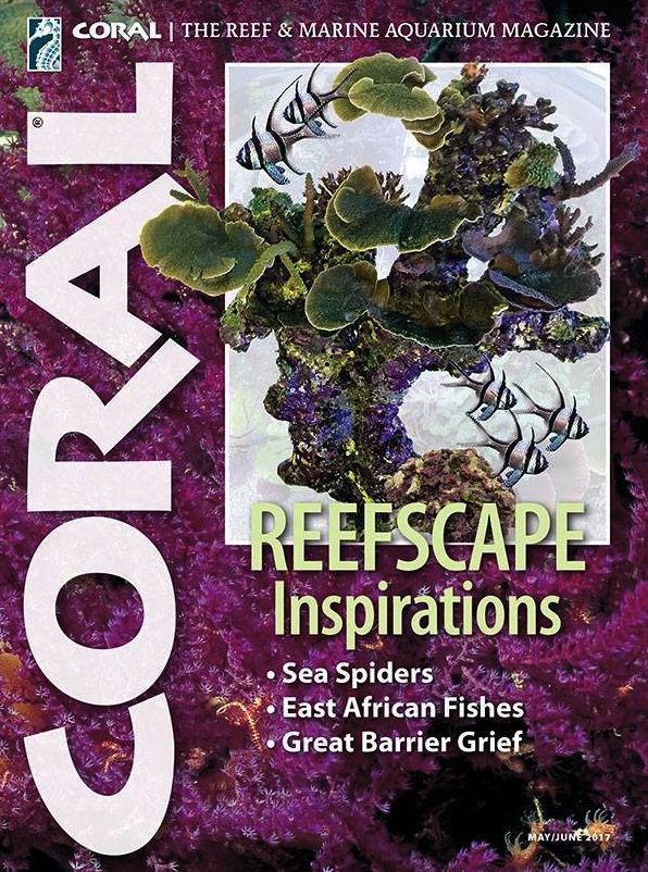 Coral - One Year Subscription