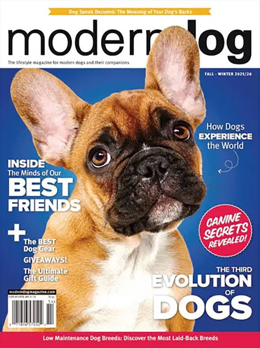 Modern Dog - One Year Subscription