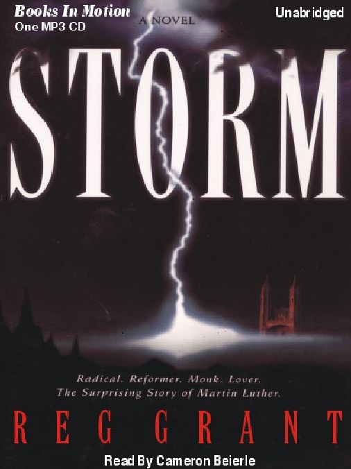 Storm: A Novel