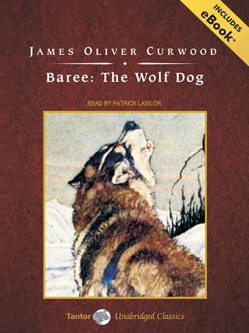 Baree the Wolf-Dog