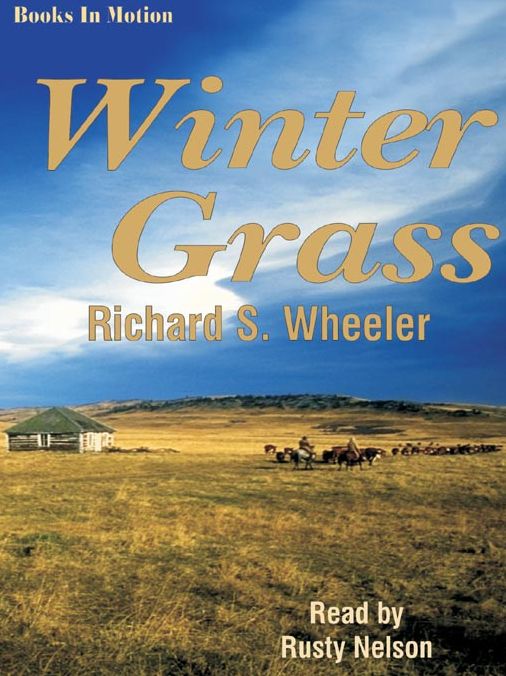 Winter Grass