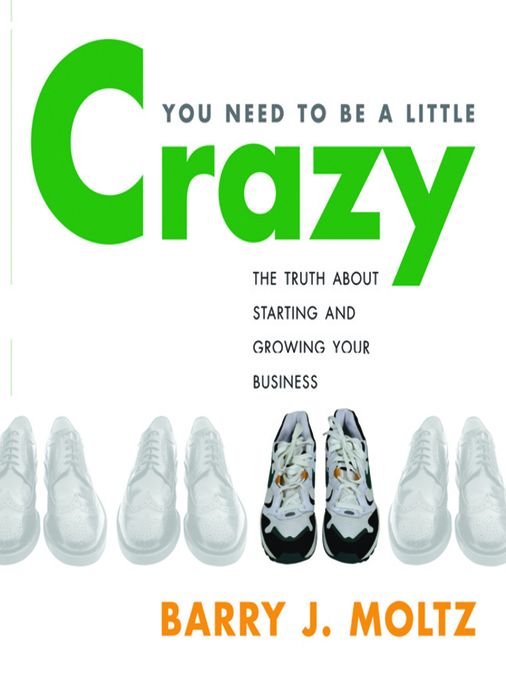 You Need To Be A Little Crazy: The Truth About Starting and Creating Your Business