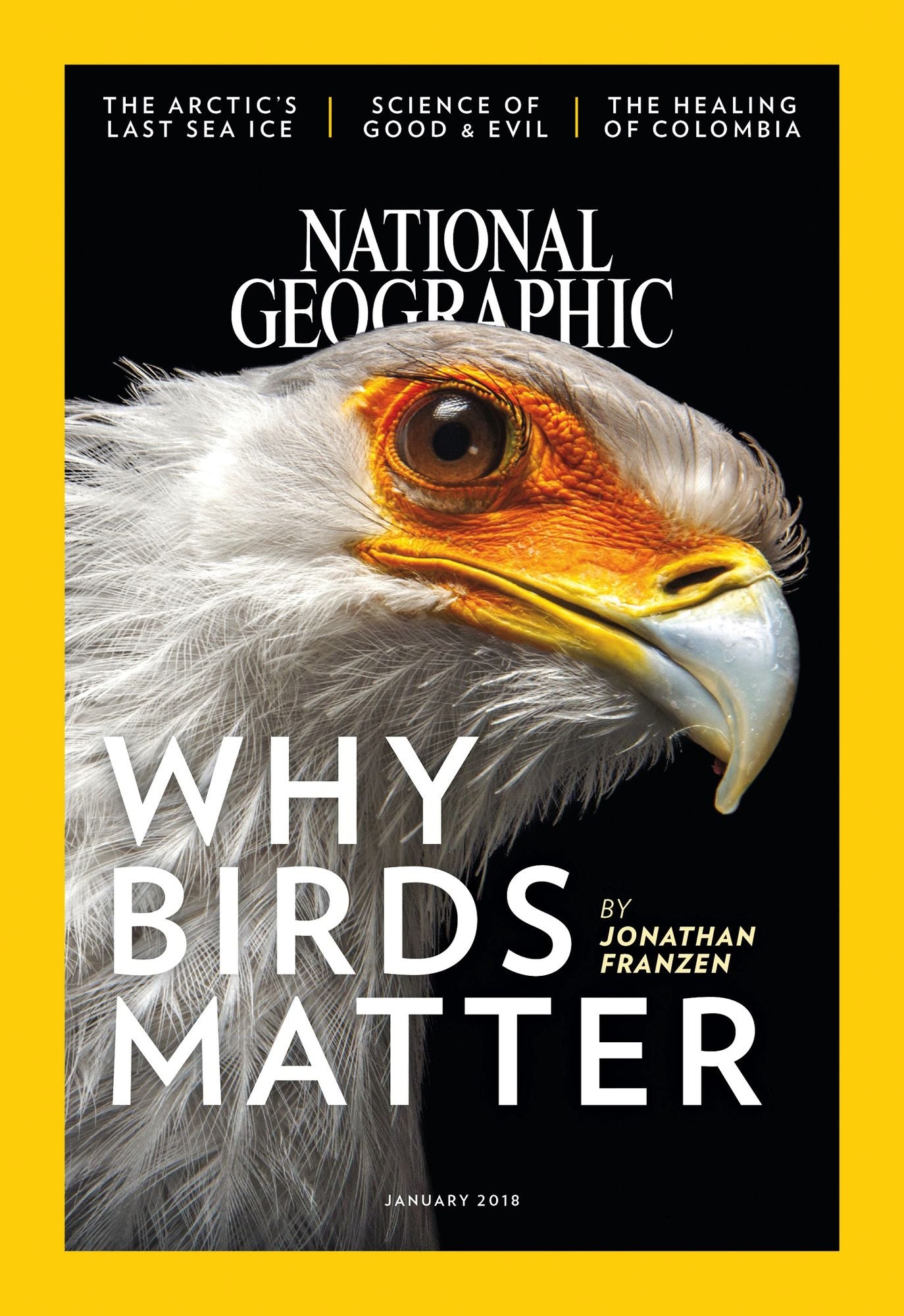 National Geographic - One Year Subscription