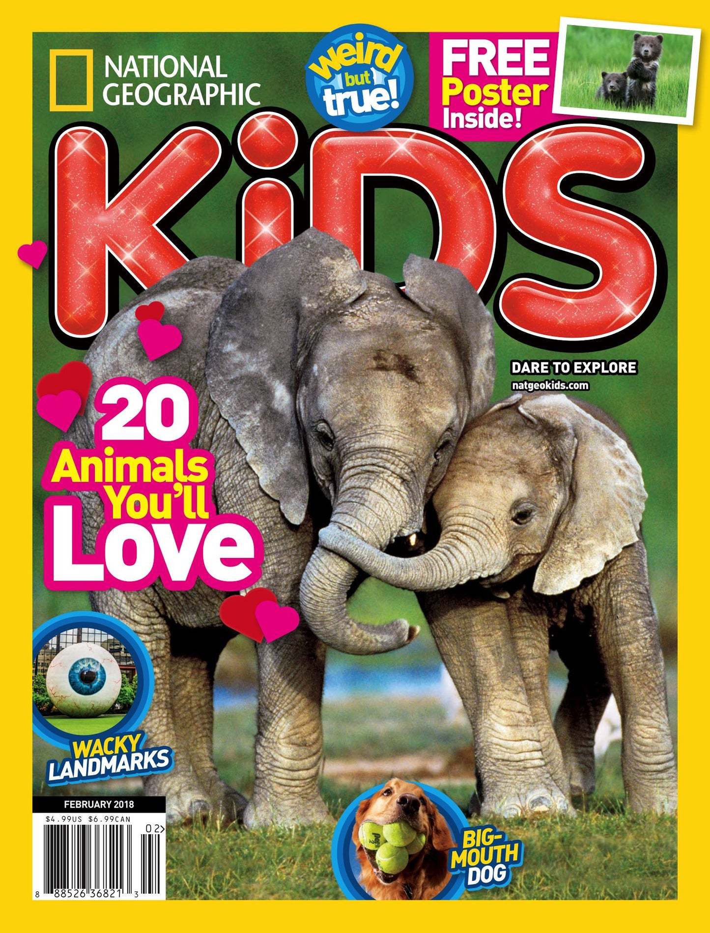 National Geographic Kids - One Year Subscription