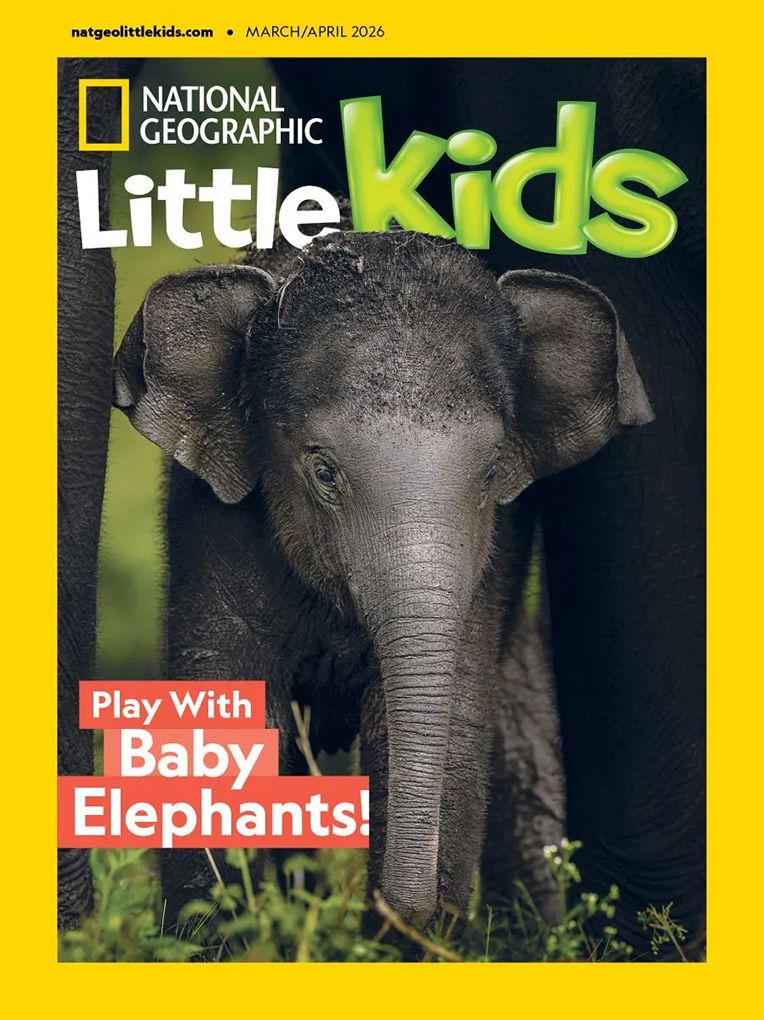 National Geographic Little Kids - One Year Subscription