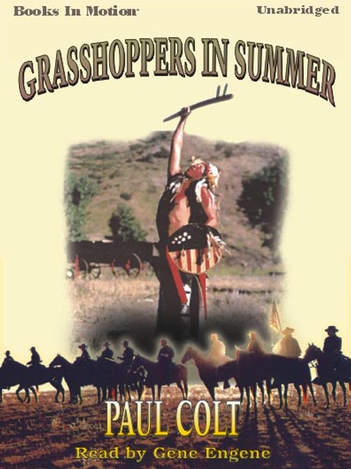 Grasshoppers In Summer