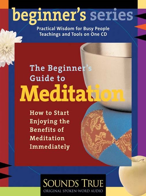 The Beginner's Guide to Meditation: How to Start Enjoying the Benefits of Meditation Immediately