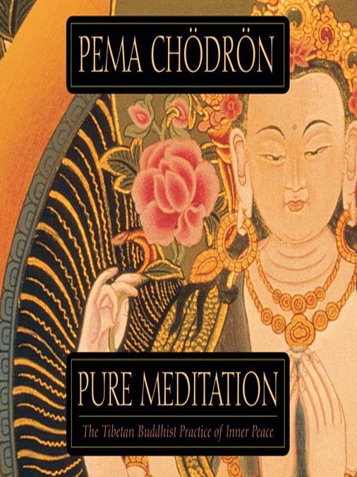 Pure Meditation: The Tibetan Buddhist Practice of Inner Peace