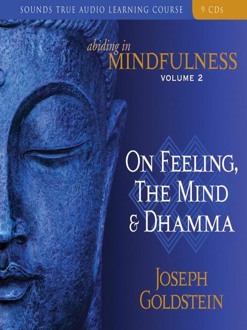Abiding in Mindfulness, Volume 2: On Feeling, the Mind & Dhamma