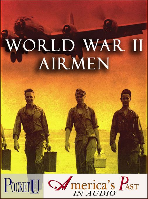 WWII Airmen: Amazing Accounts Recorded During The War