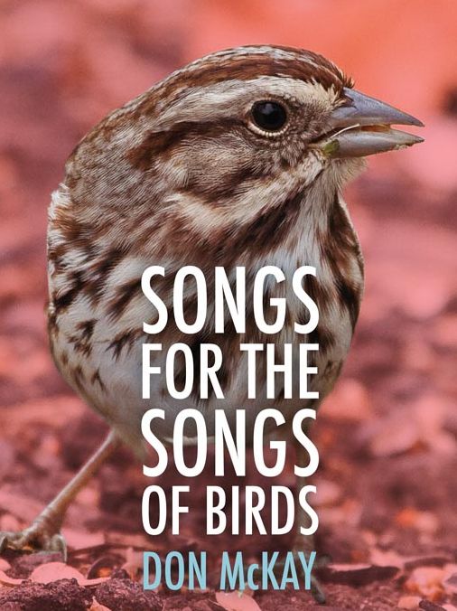 Songs for the Songs of Birds