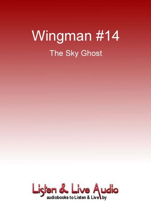 The Sky Ghost: Wingman Series, Book 14