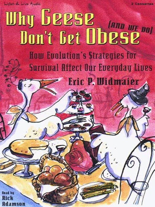 Why Geese Don't Get Obese (And We Do): How Evolution's Strategies for Survival Affect Our Everyday Lives