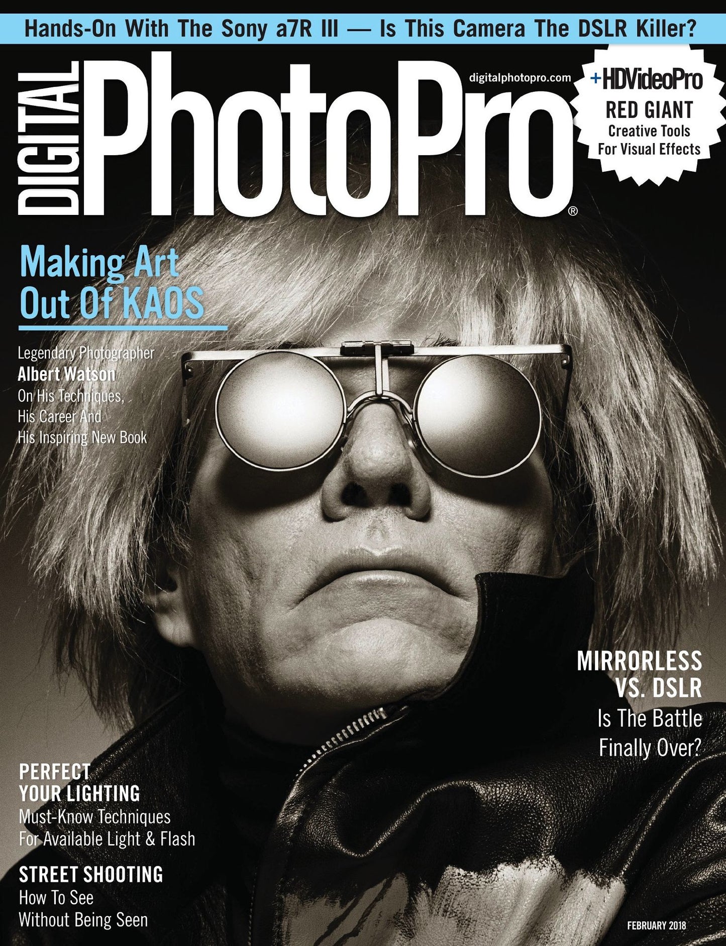 Digital Photo Pro - One Year Subscription
