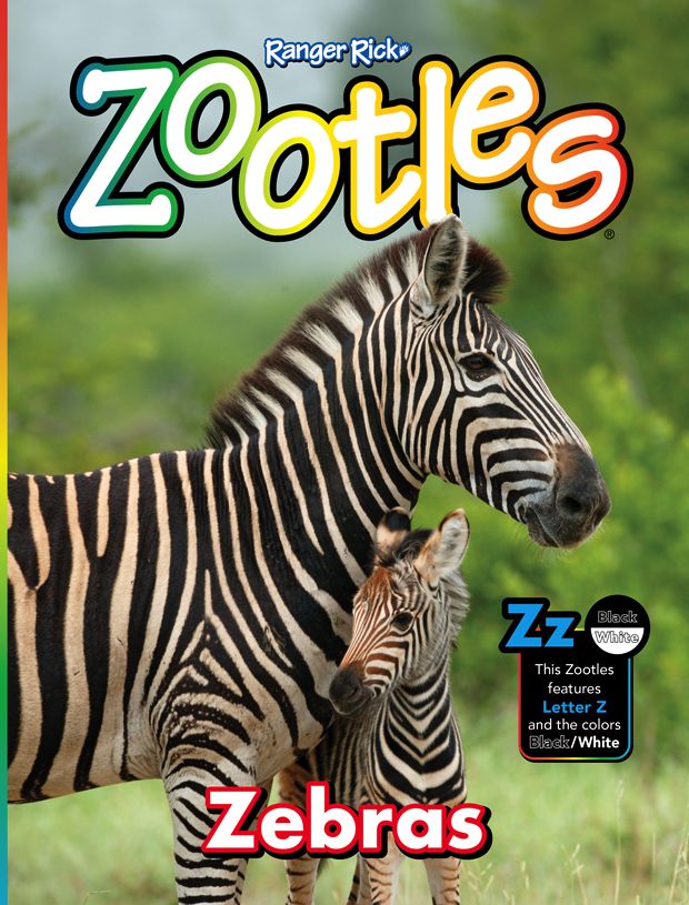 Zootles - One Year Subscription