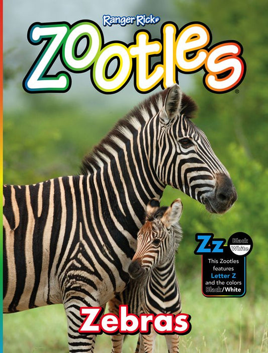 Zootles - One Year Subscription