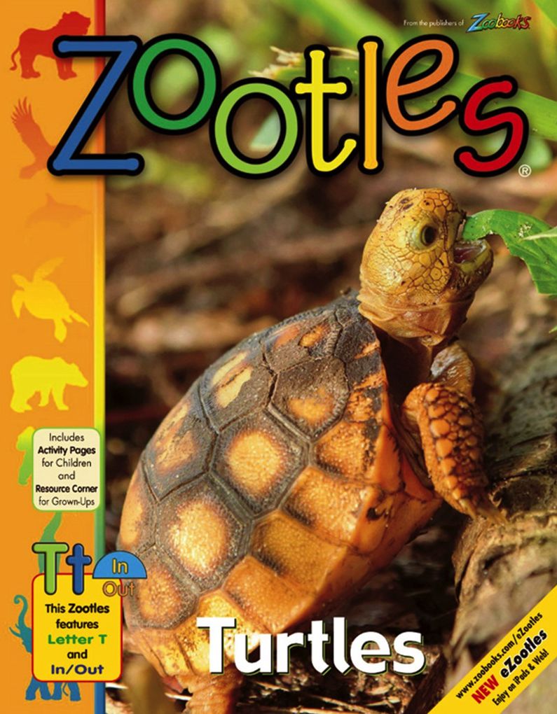 Zootles - One Year Subscription