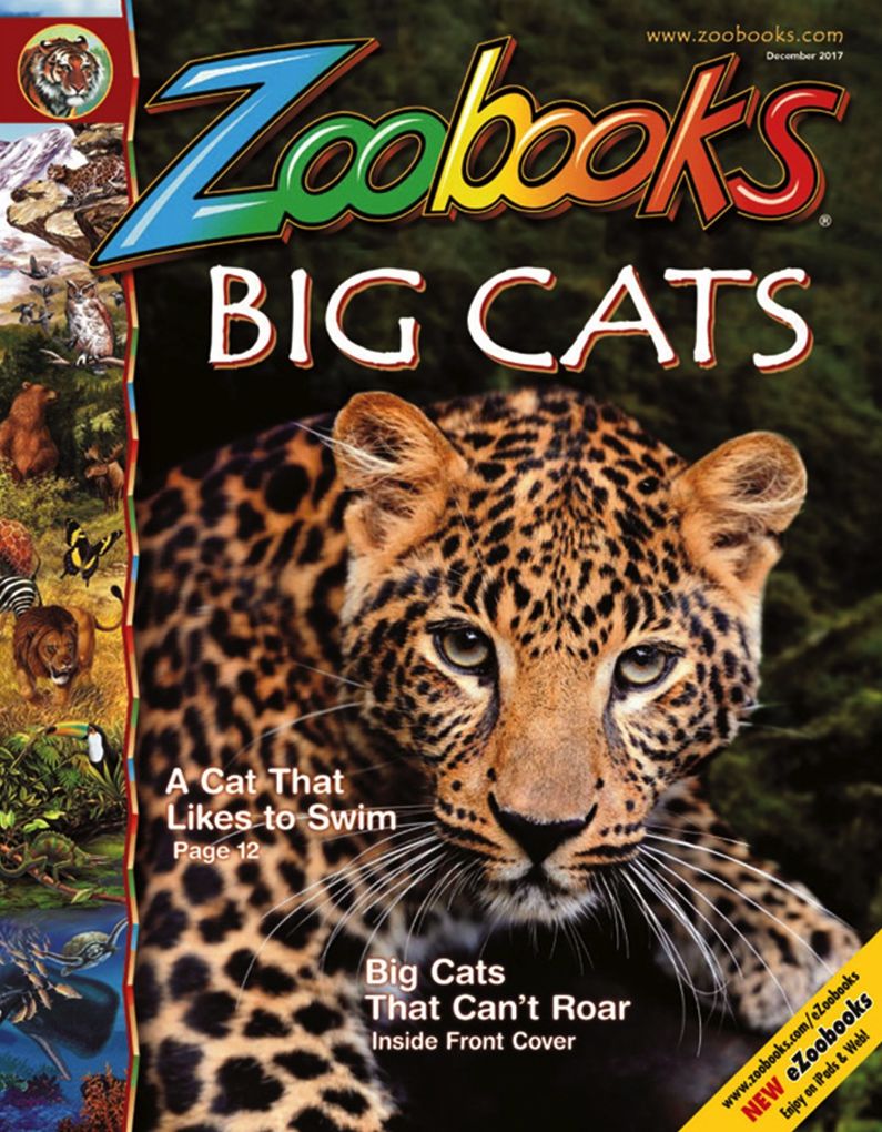 Zoobooks - Two Years Subscription