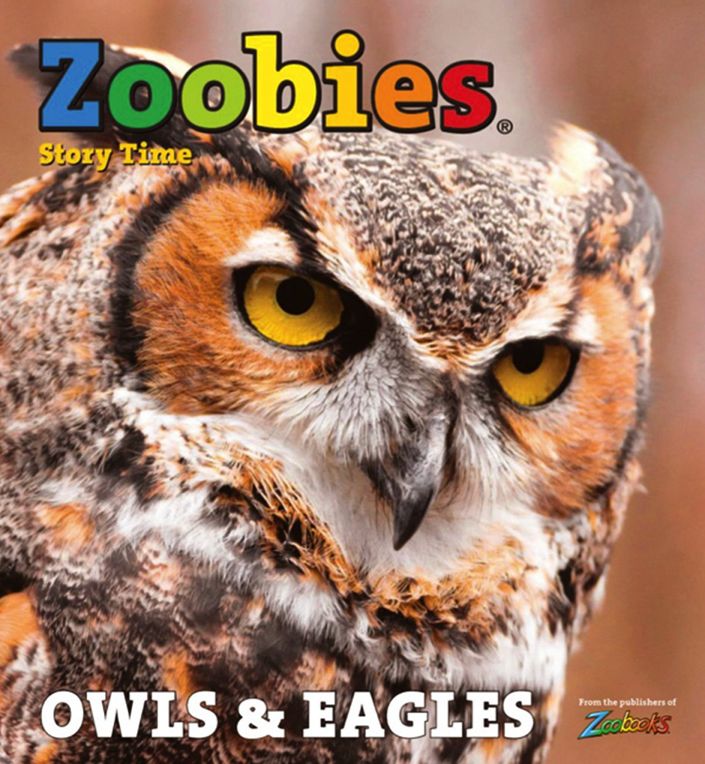Zoobies - Two Years Subscription