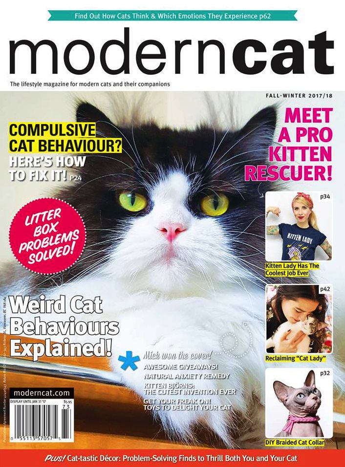 Modern Cat - Two Years Subscription